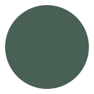 Identité graphique rond de couleur verte